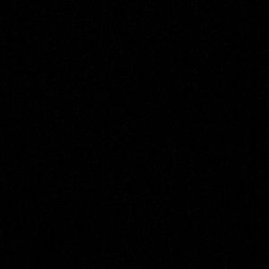 Meet your Posher, Everett